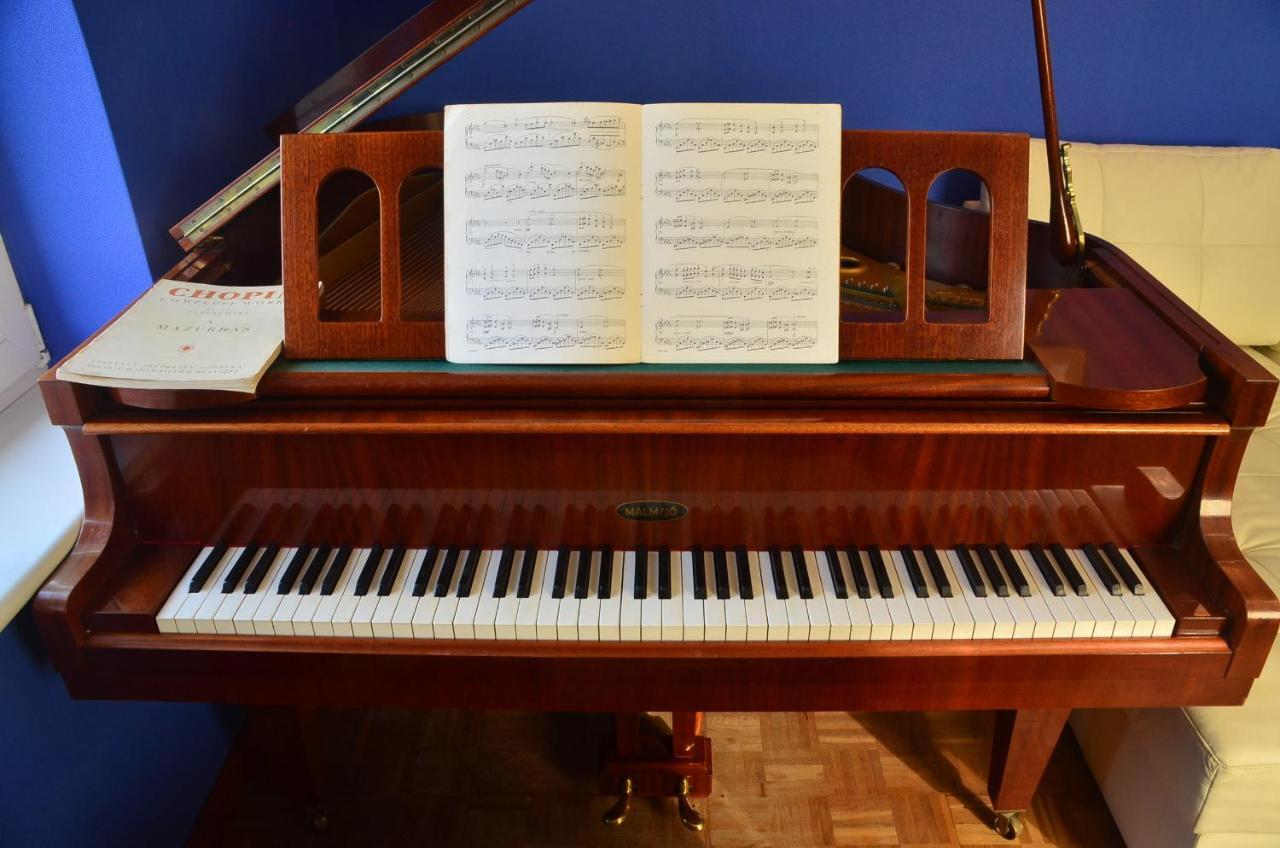 Apartament Dark Amber- 3 Rooms Grand Piano 슈비노우이스쳬 외부 사진